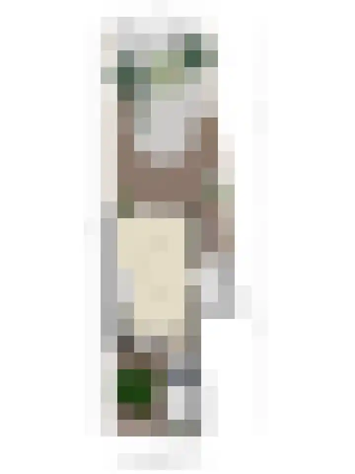 Noorderbreek 32 Landsmeer thumbnail 38