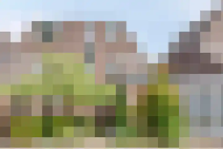 Noorderbreek 32 Landsmeer thumbnail 4