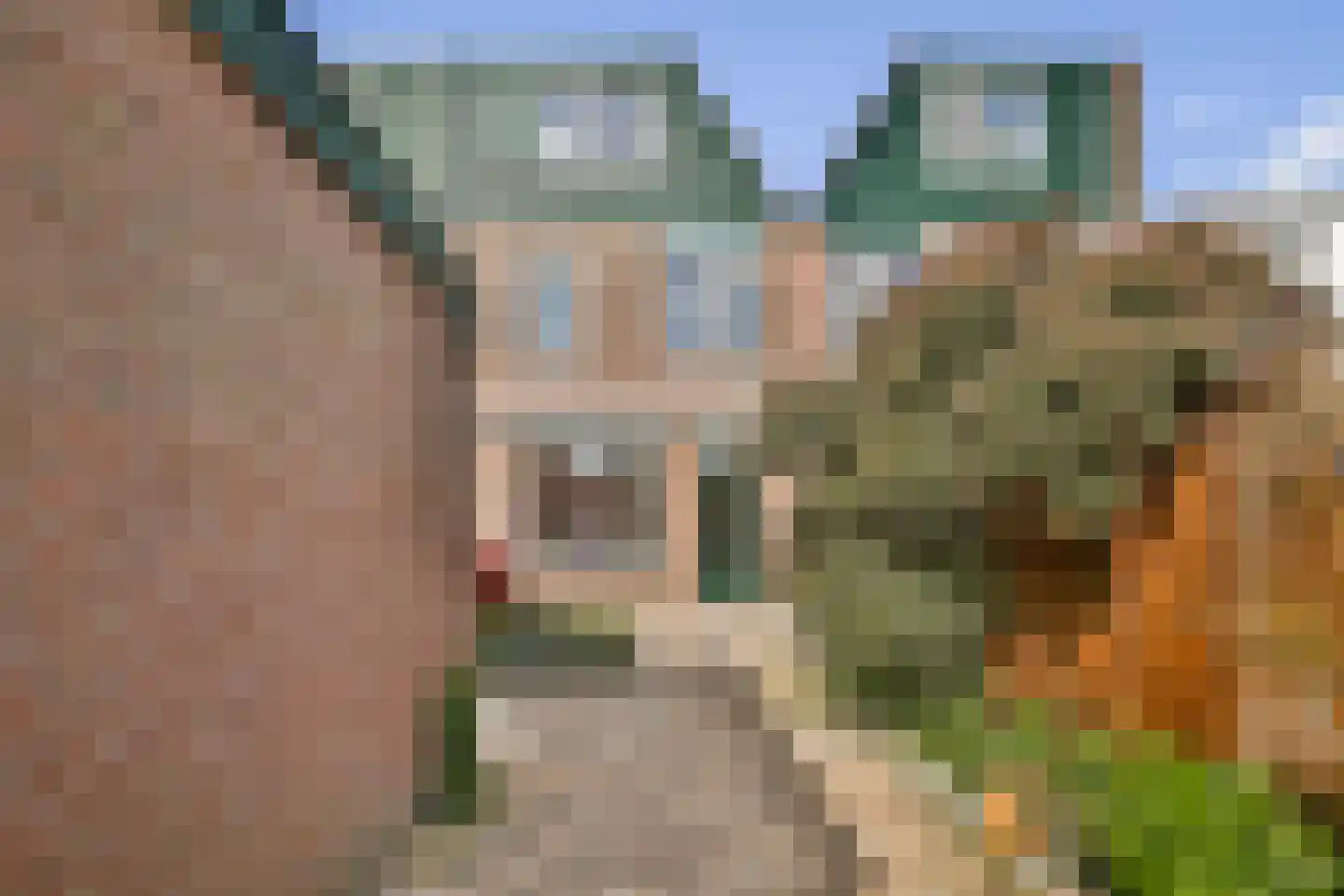 Noorderbreek 35 Landsmeer thumbnail 12