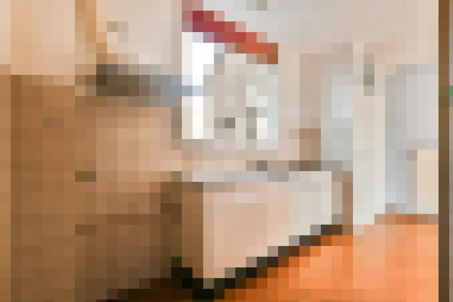 Noorderbreek 35 Landsmeer thumbnail 8