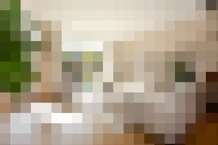 Noorderbreek 51 Landsmeer thumbnail 10