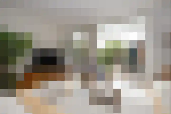 Noorderbreek 51 Landsmeer thumbnail 13