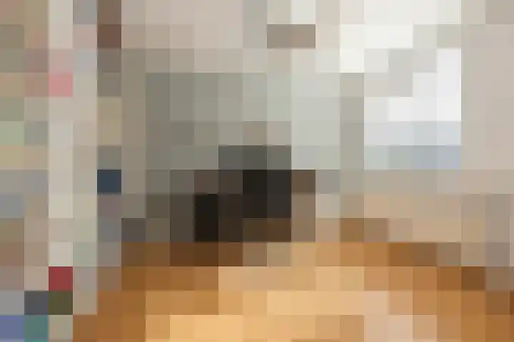 Noorderbreek 51 Landsmeer thumbnail 27