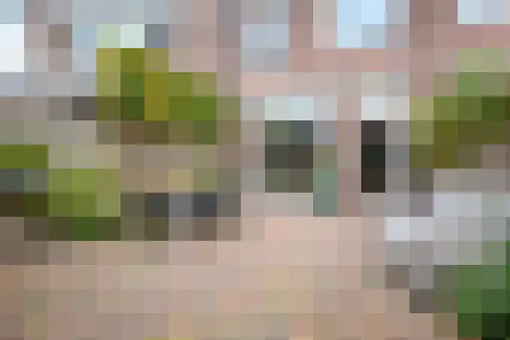 Noorderbreek 51 Landsmeer thumbnail 37