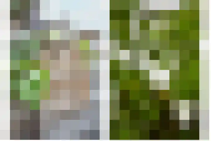 Noorderbreek 51 Landsmeer thumbnail 38