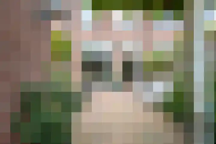 Noorderbreek 51 Landsmeer thumbnail 39