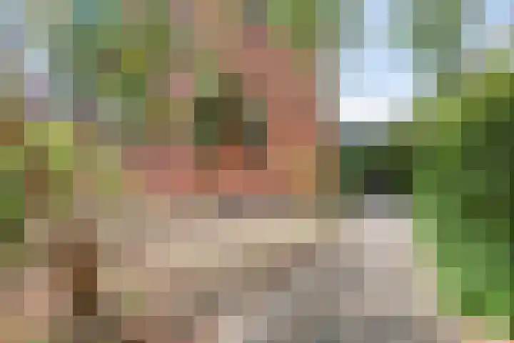 Noorderbreek 60 Landsmeer thumbnail 23