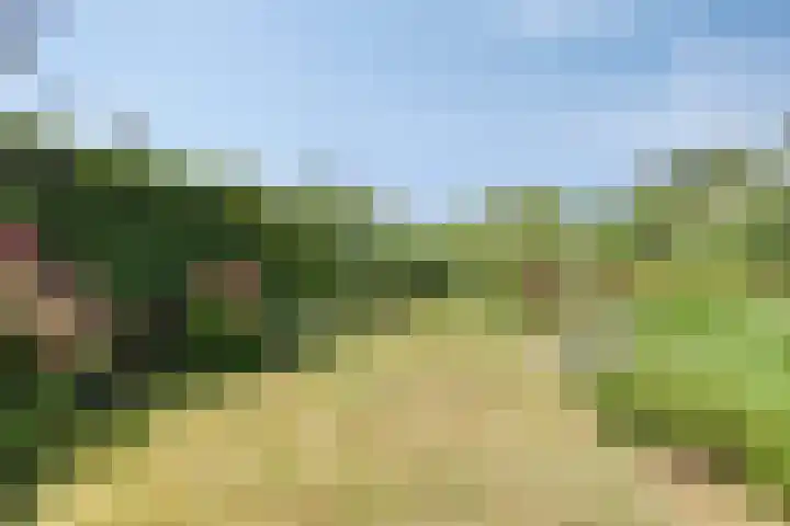 Noorderbreek 60 Landsmeer thumbnail 25
