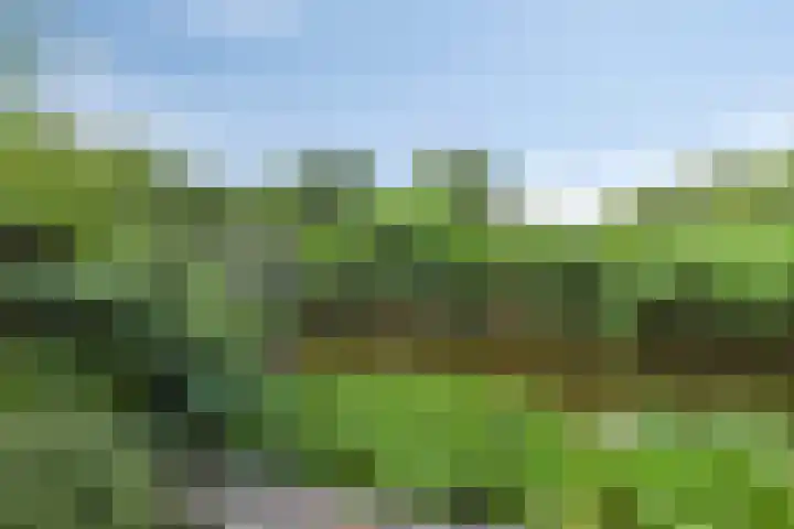 Noorderbreek 60 Landsmeer thumbnail 26