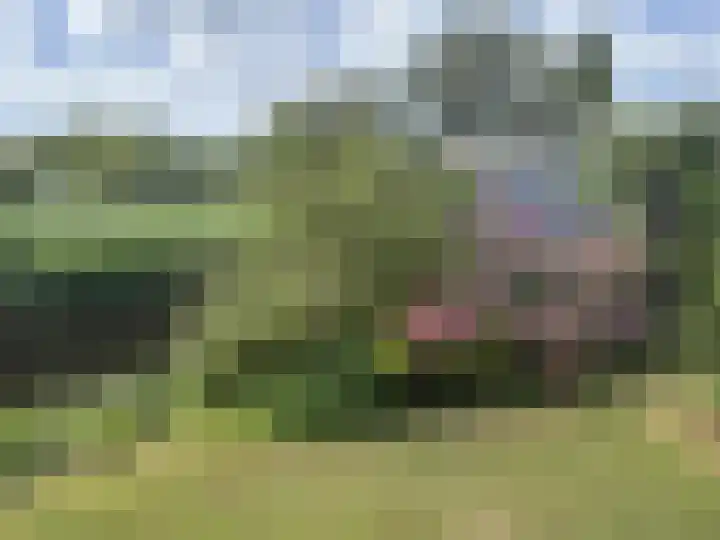Noorderbreek 60 Landsmeer thumbnail 28