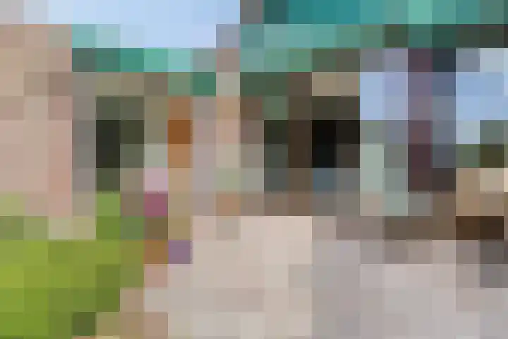 Noorderbreek 60 Landsmeer thumbnail 30