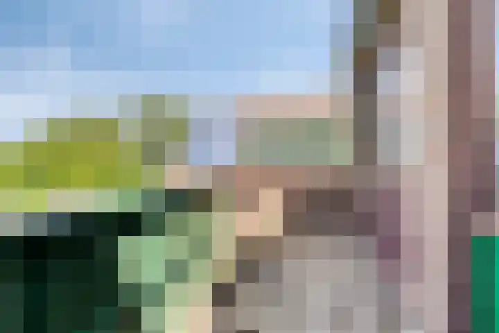 Noorderbreek 60 Landsmeer thumbnail 42