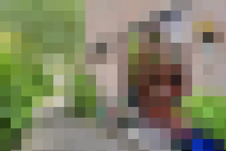 Noorderbreek 60 Landsmeer thumbnail 5