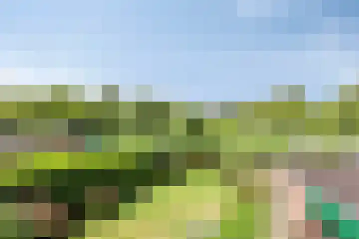 Noorderbreek 60 Landsmeer thumbnail 53