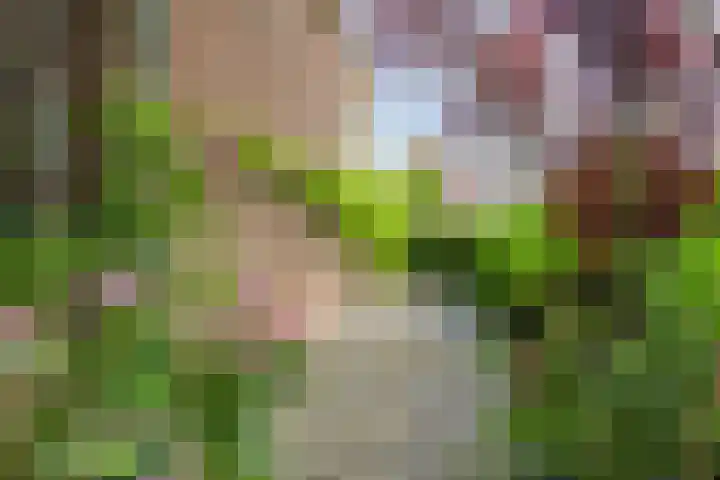 Noorderbreek 60 Landsmeer thumbnail 55