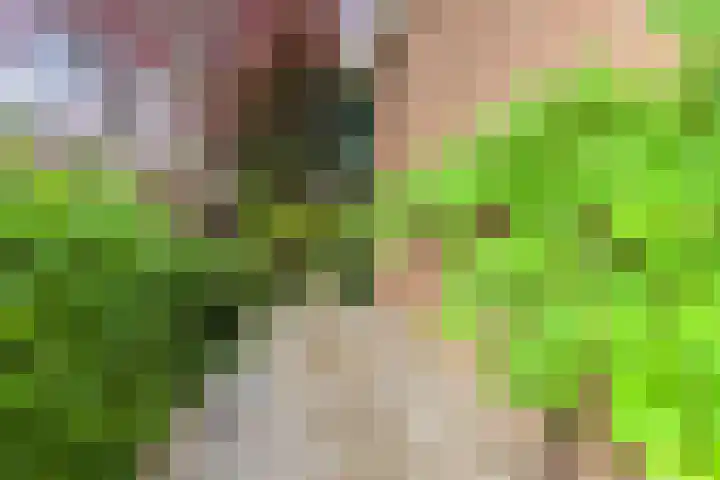 Noorderbreek 60 Landsmeer thumbnail 56