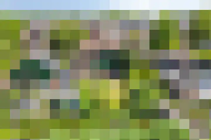 Noorderbreek 60 Landsmeer thumbnail 58