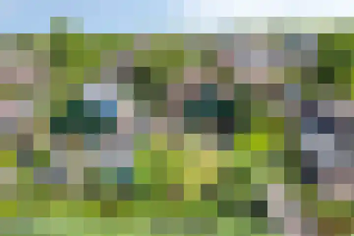 Noorderbreek 60 Landsmeer thumbnail 59