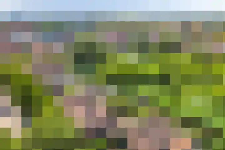 Noorderbreek 60 Landsmeer thumbnail 61