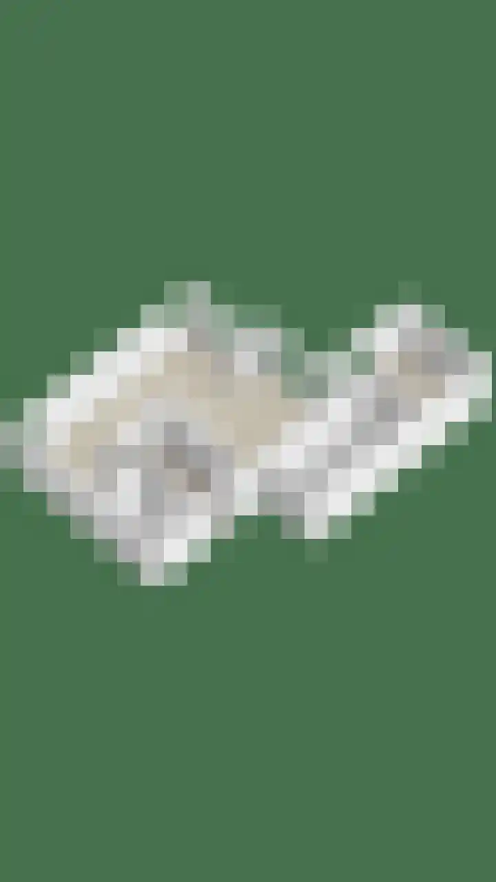 Noorderbreek 60 Landsmeer thumbnail 64