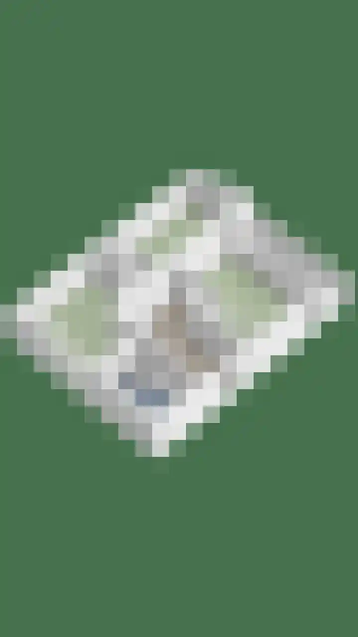 Noorderbreek 60 Landsmeer thumbnail 66