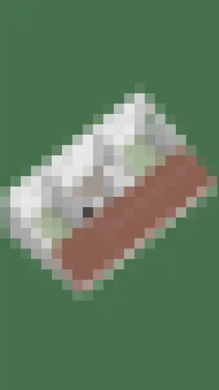 Noorderbreek 60 Landsmeer thumbnail 68