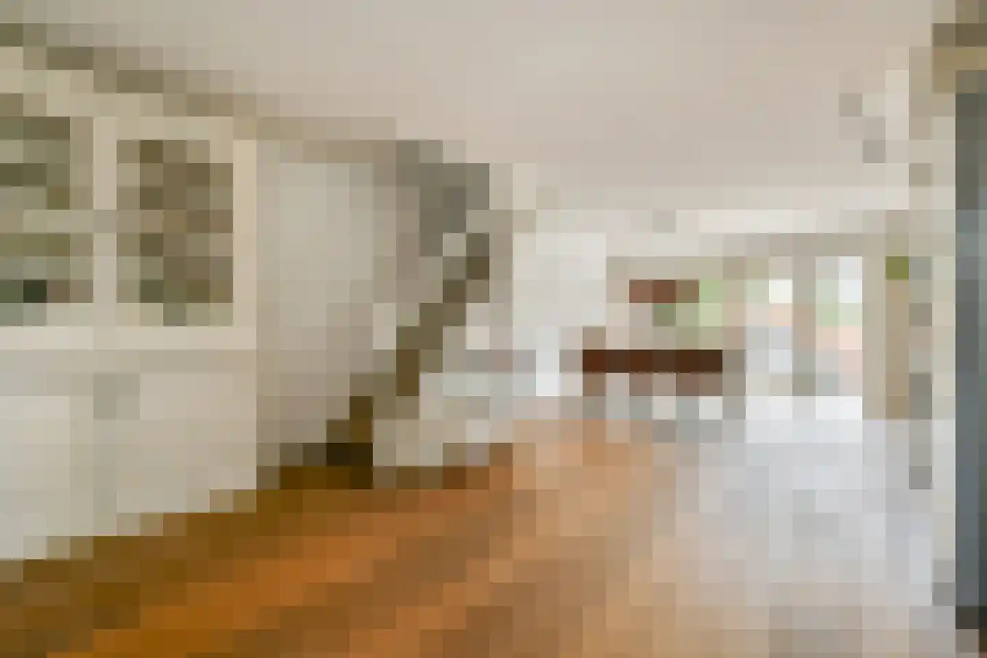Noorderbreek 82 Landsmeer thumbnail 9
