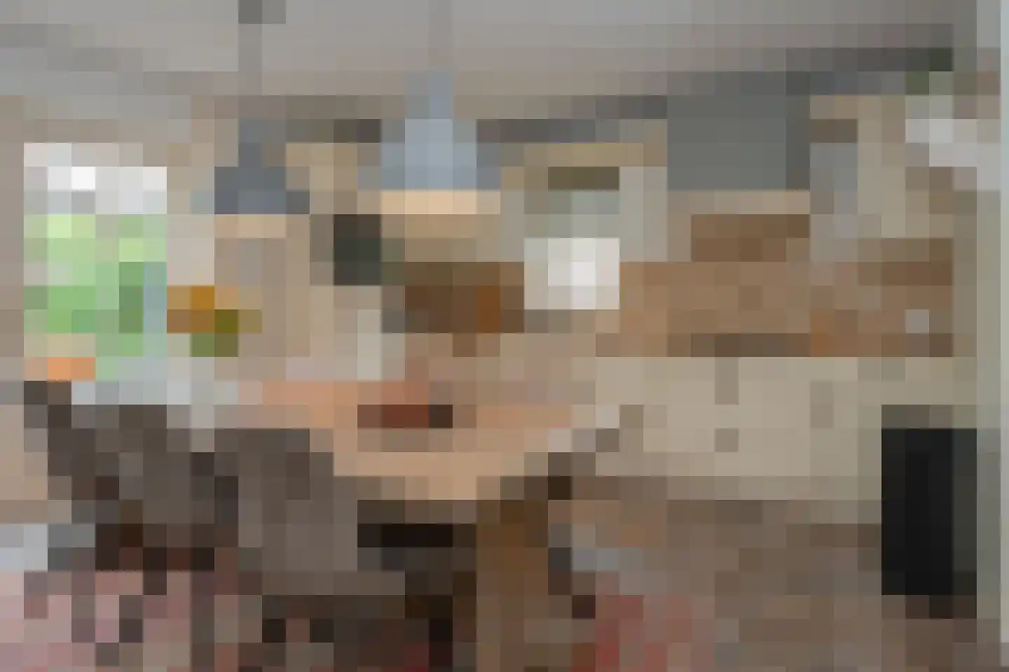 Noorderbrink 8 Noordeinde Gld thumbnail 14