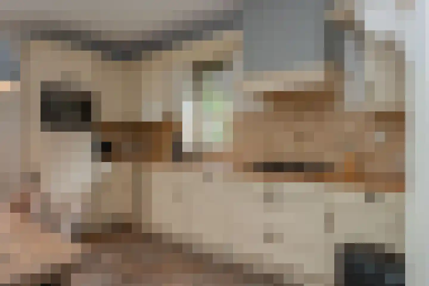 Noorderbrink 8 Noordeinde Gld thumbnail 15