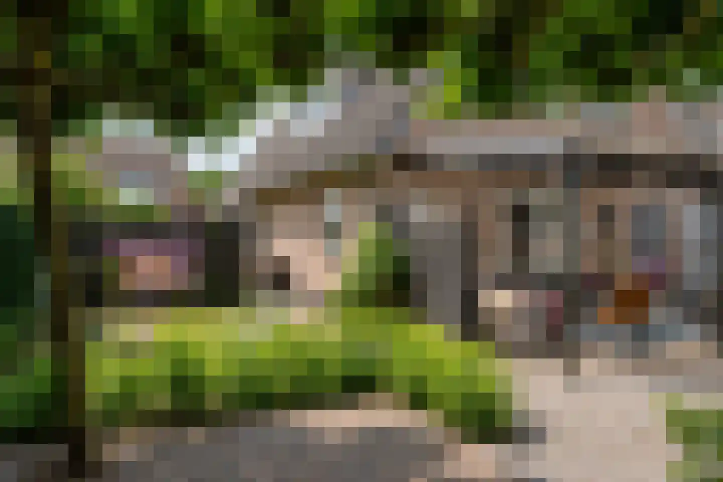 Noorderbrink 8 Noordeinde Gld foto 2