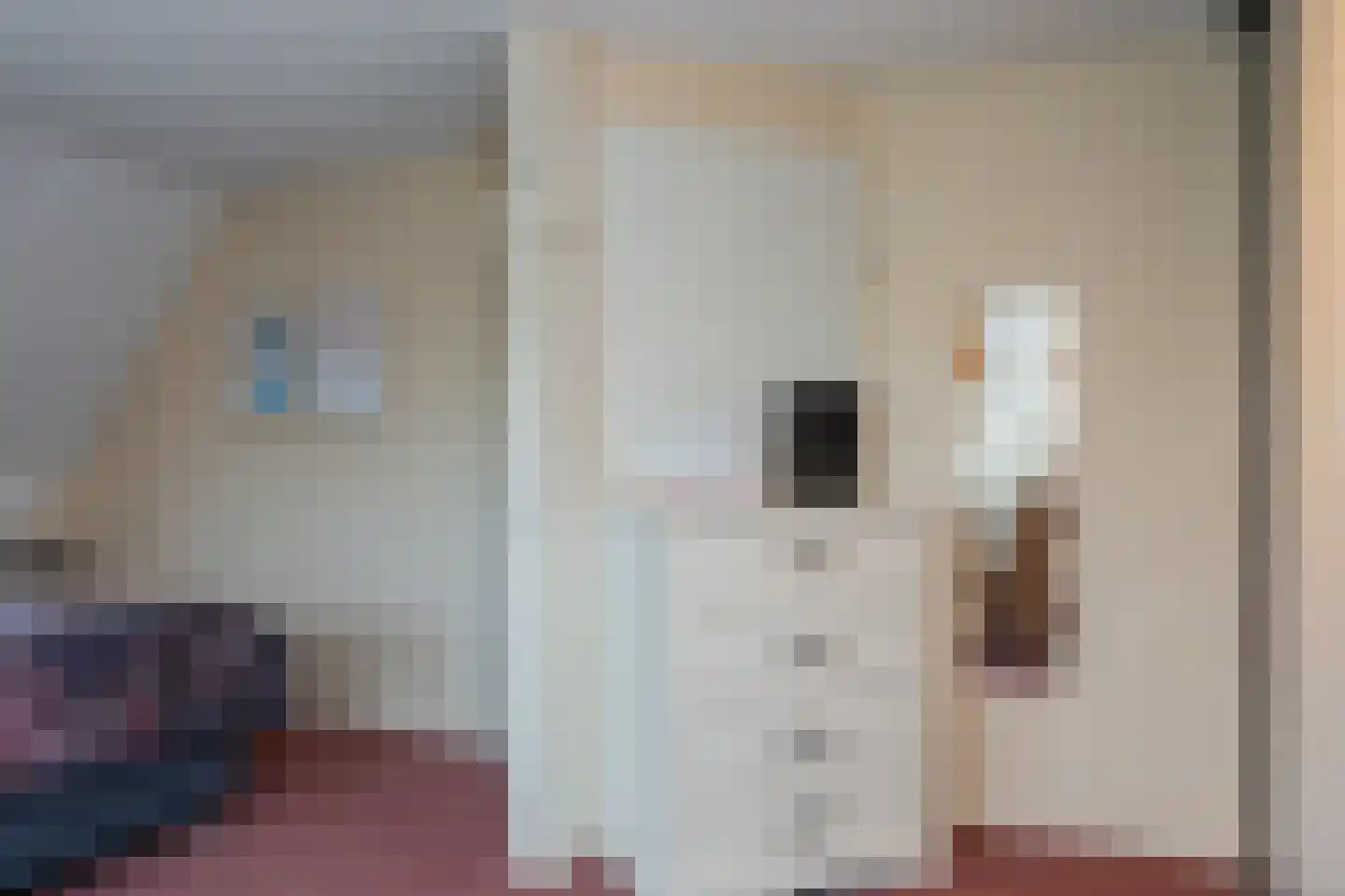 Noorderbrink 8 Noordeinde Gld thumbnail 27