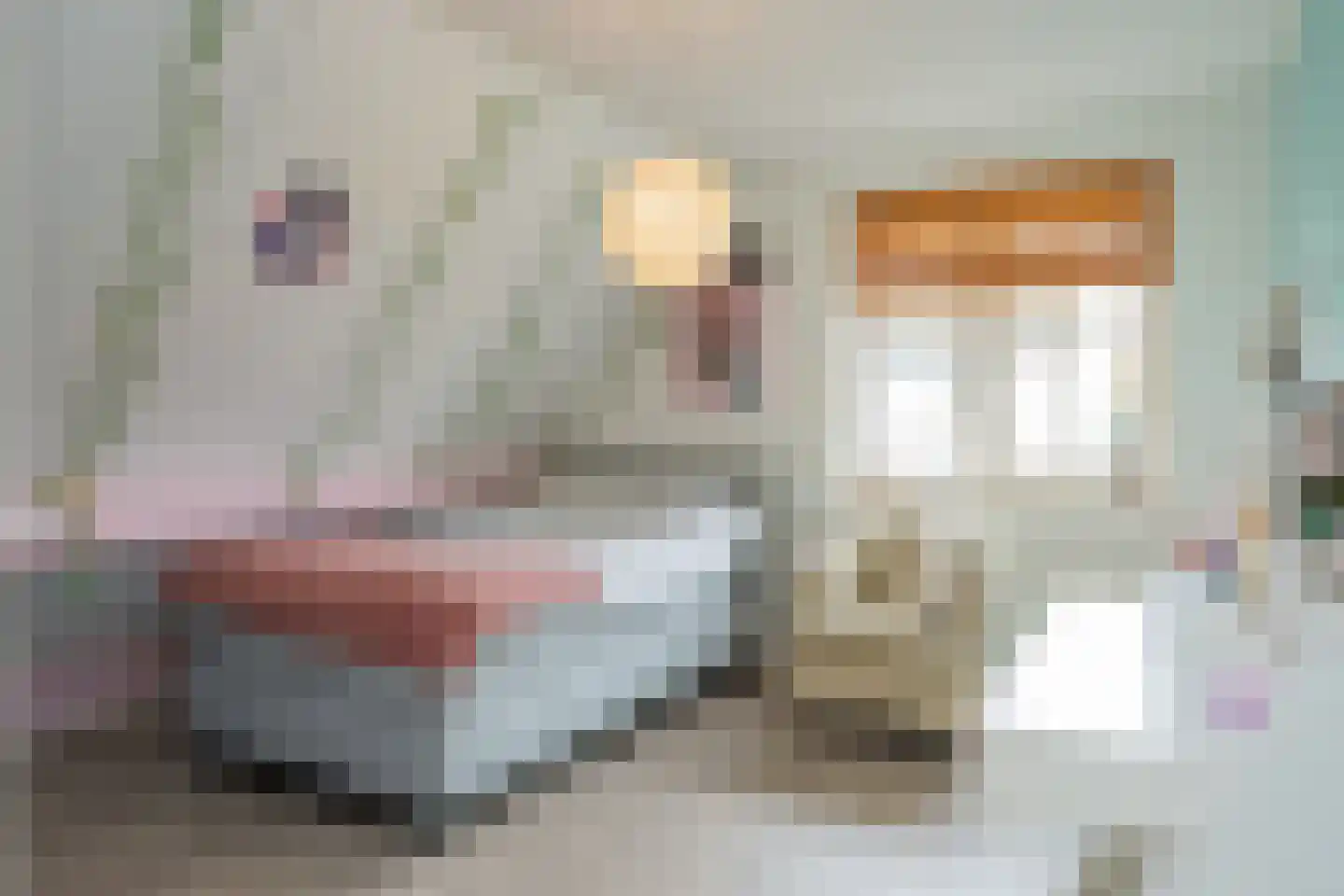 Noorderbrink 8 Noordeinde Gld thumbnail 34