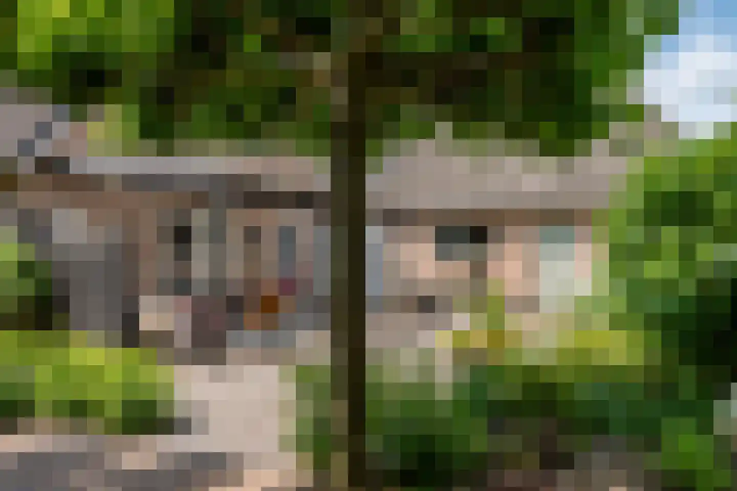 Noorderbrink 8 Noordeinde Gld thumbnail 40