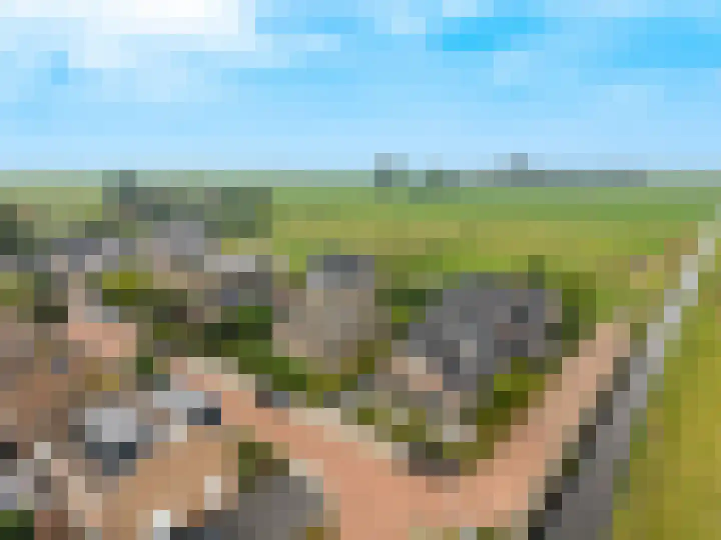 Noorderbrink 8 Noordeinde Gld thumbnail 45