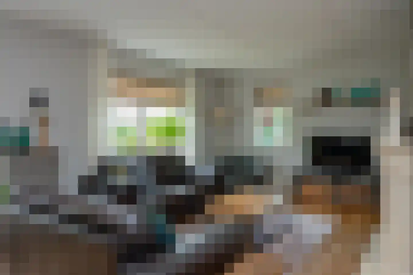 Noorderbrink 8 Noordeinde Gld thumbnail 5