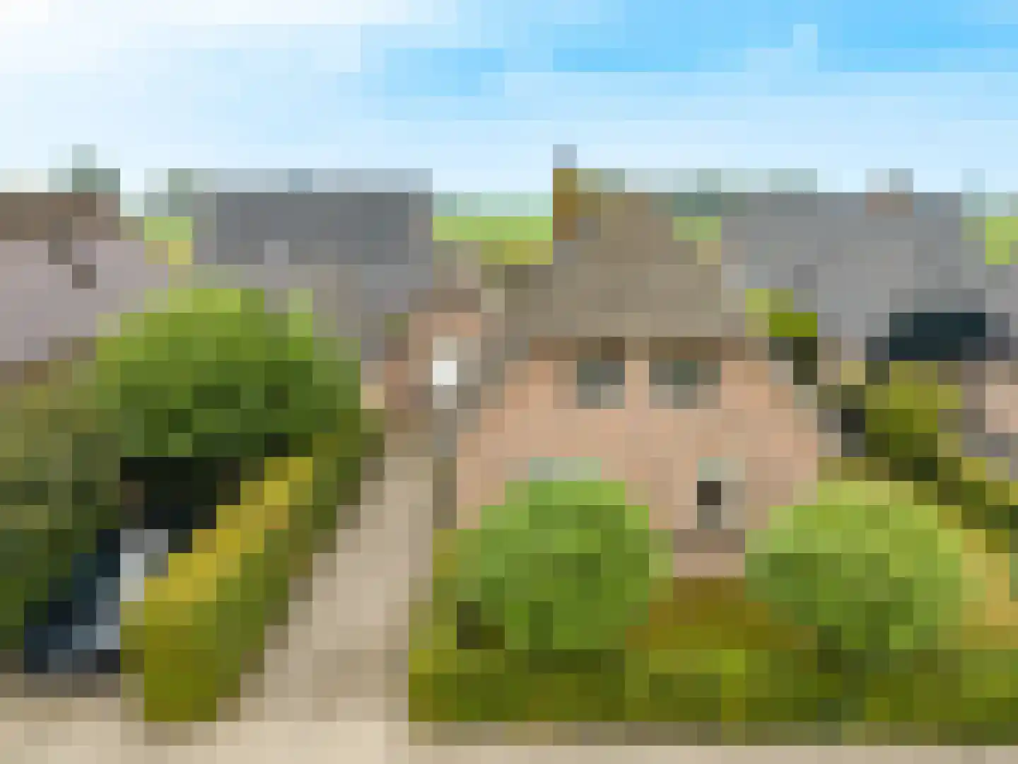 Noorderbrink 8 Noordeinde Gld thumbnail 50