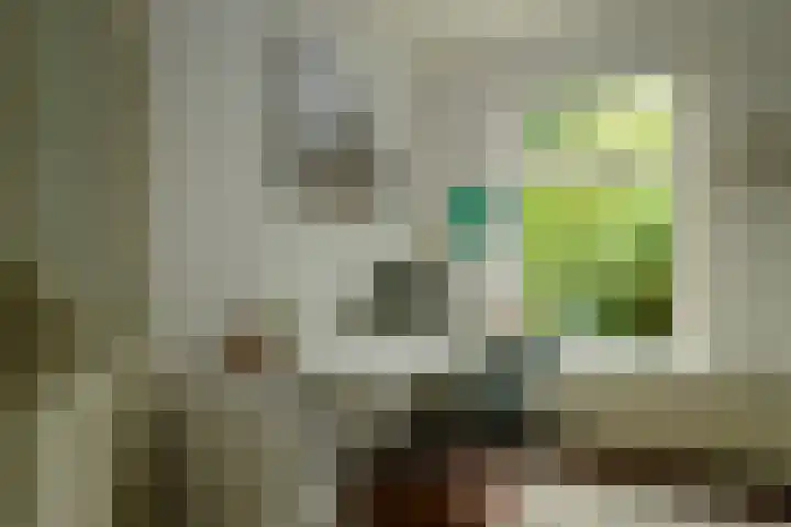 Noorderbuitensingel 22 Groningen thumbnail 13