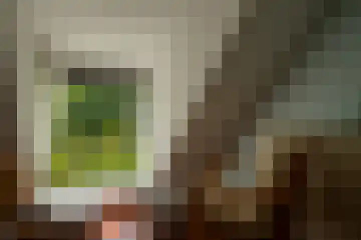 Noorderbuitensingel 22 Groningen thumbnail 23