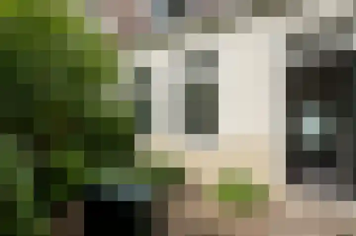 Noorderbuitensingel 22 Groningen thumbnail 31