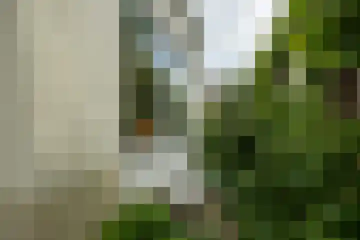 Noorderbuitensingel 22 Groningen thumbnail 32