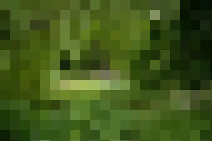 Noorderbuitensingel 22 Groningen thumbnail 35