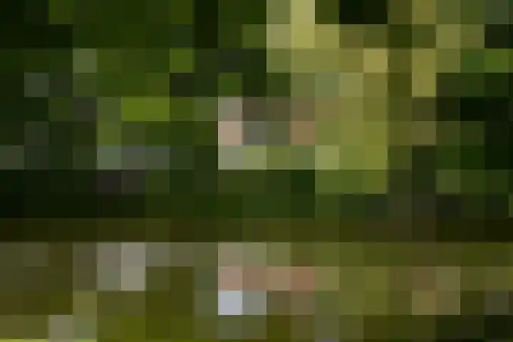 Noorderbuitensingel 22 Groningen thumbnail 38