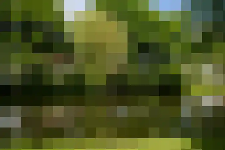 Noorderbuitensingel 22 Groningen thumbnail 40