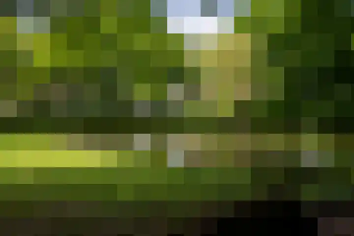 Noorderbuitensingel 22 Groningen thumbnail 41