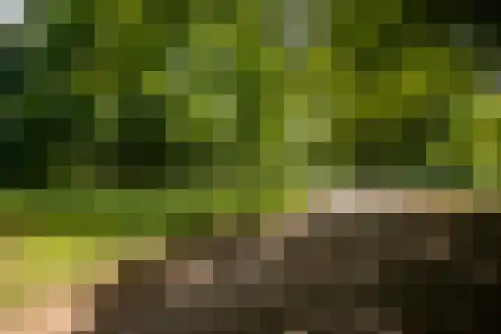 Noorderbuitensingel 22 Groningen thumbnail 43
