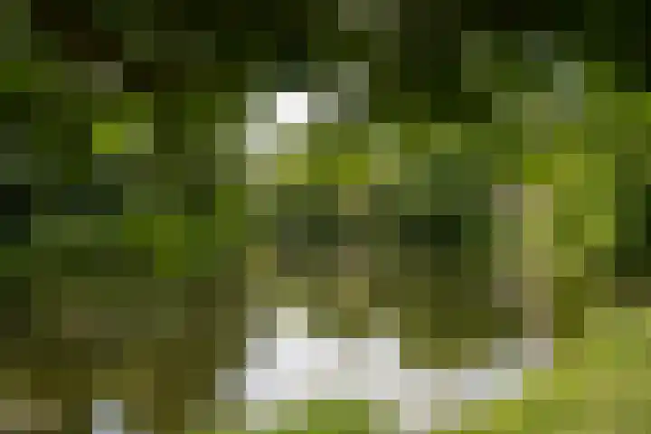 Noorderbuitensingel 22 Groningen thumbnail 44