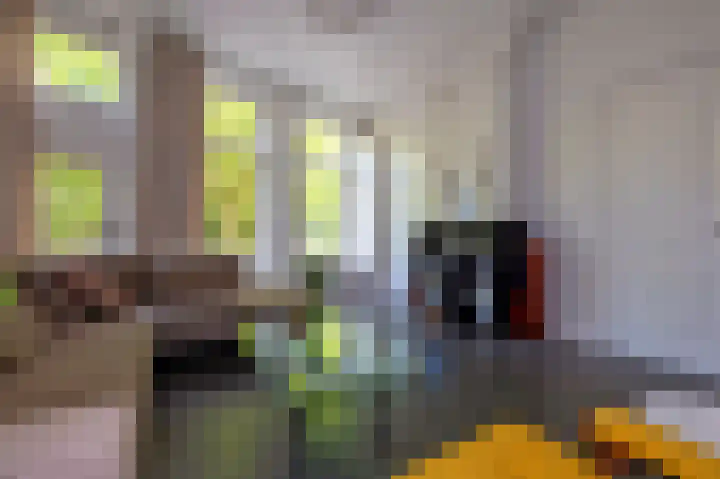 Noorderbuitensingel 29 Groningen thumbnail 16
