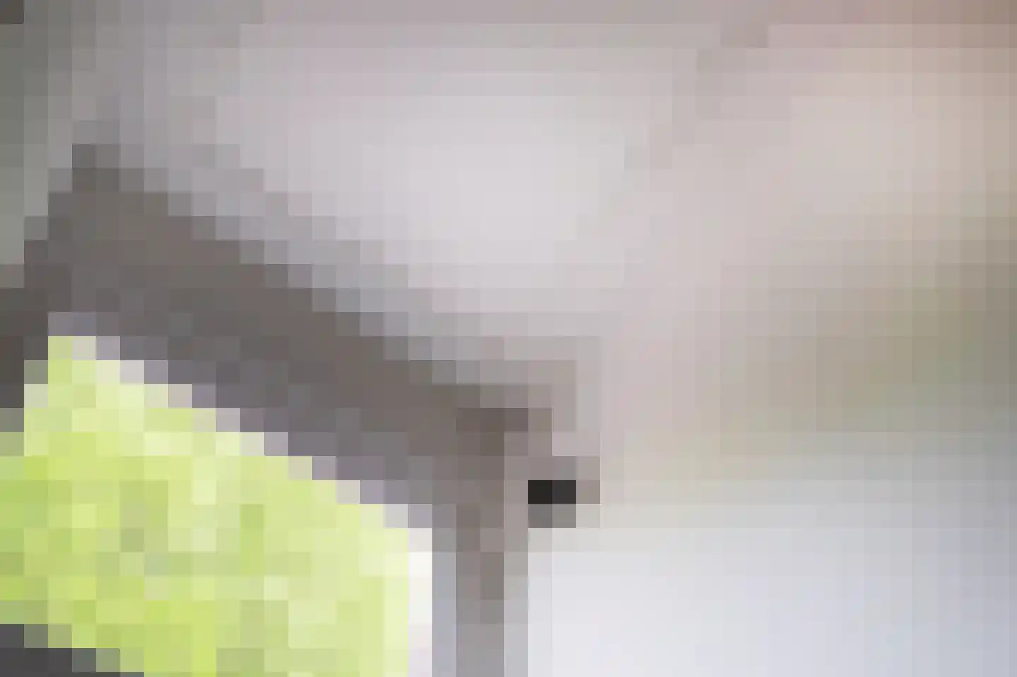 Noorderbuitensingel 29 Groningen thumbnail 24