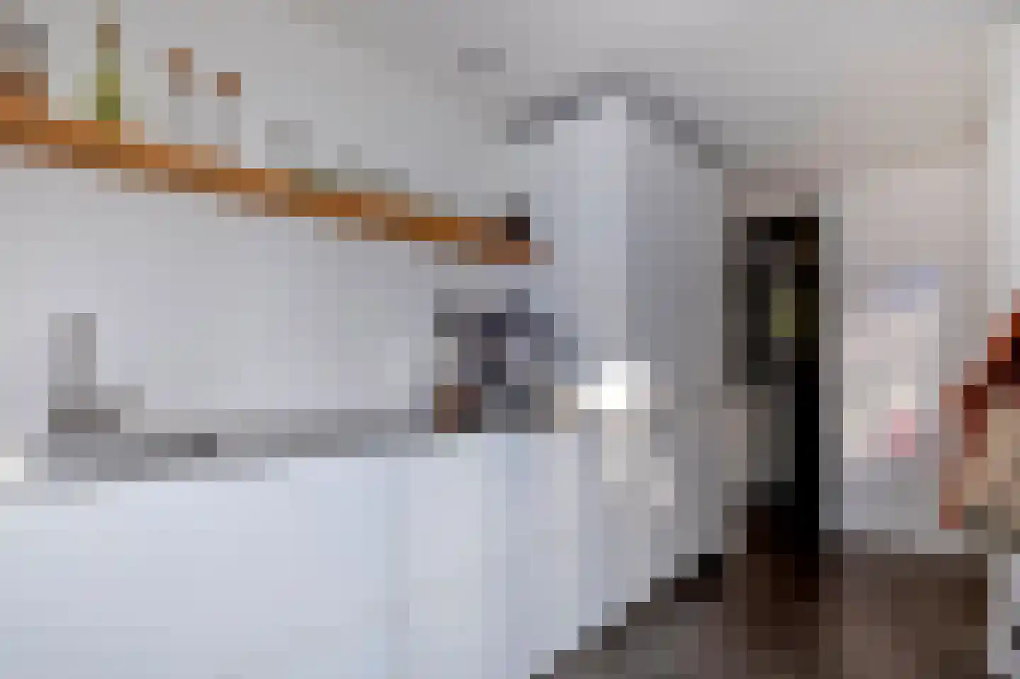Noorderbuitensingel 29 Groningen thumbnail 27