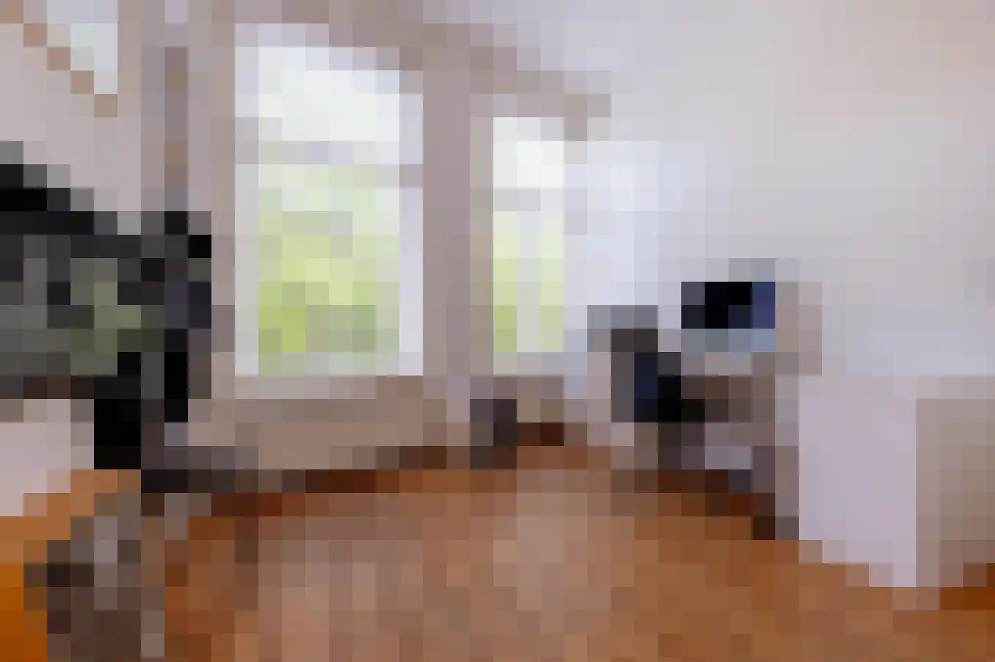 Noorderbuitensingel 29 Groningen thumbnail 43
